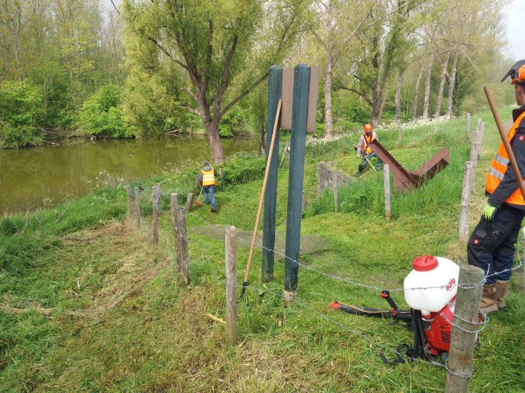 Ook bij de 700 in Ritthem wordt het groen waar noodzakelijk gekortwiekt.