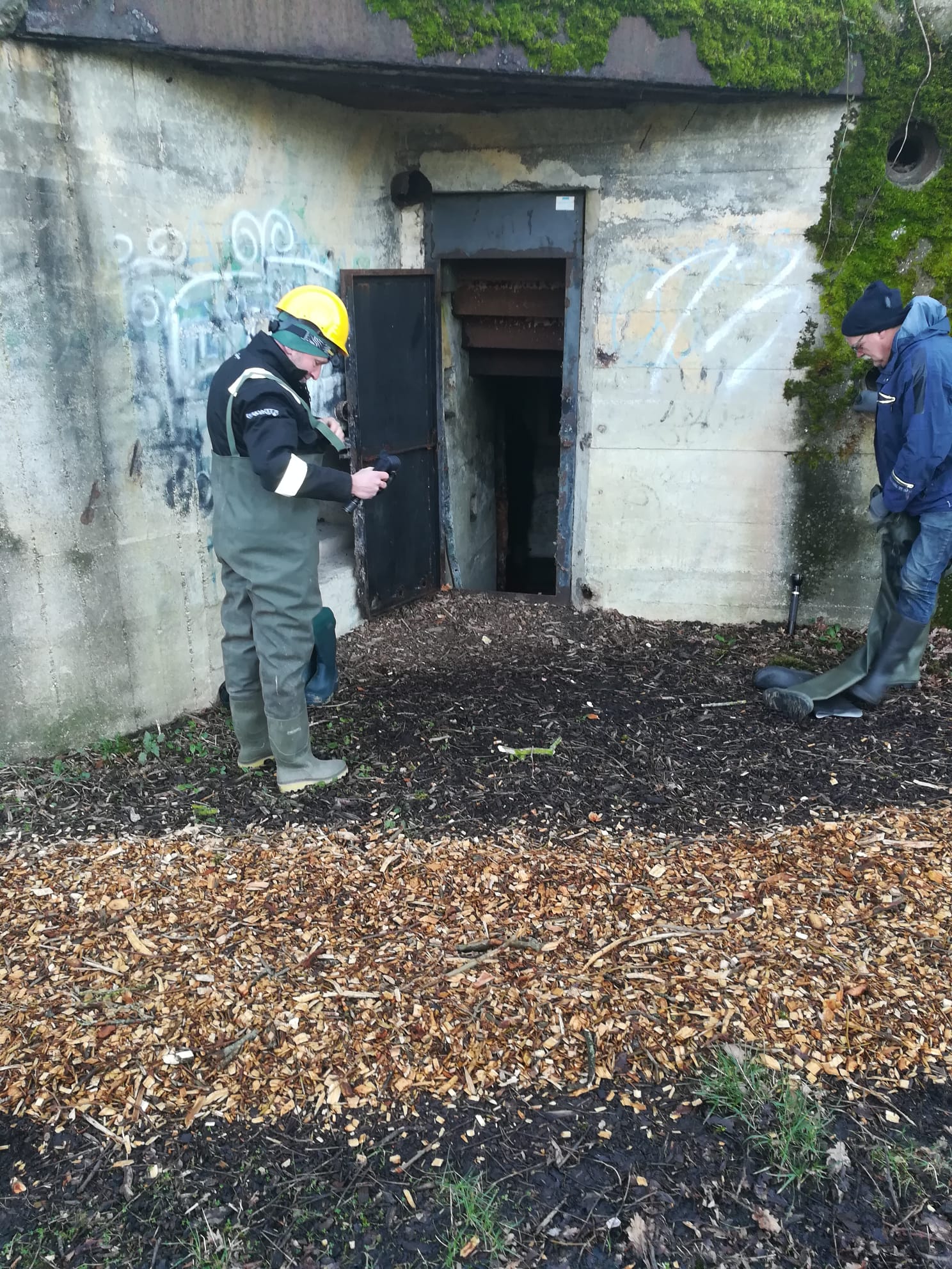 Vleermuistelling in bunkers Park Toorenvliedt, Middelburg.